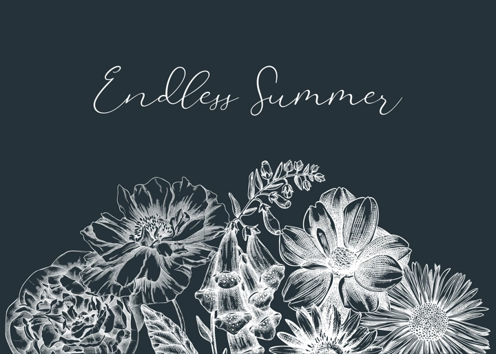 Summer flowers borders in vintage style. Hand-sketched garden plants design on chalkboard. For greeting cards, wedding invites, and banners. Hand-drawn botanical illustration with floral sketches.